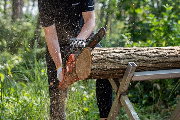 the-best-wholesale-garden-tool-suppliers