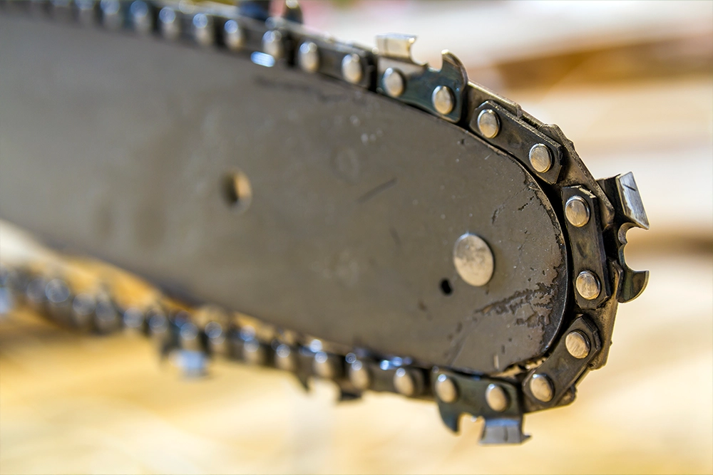 1chainsaw chain