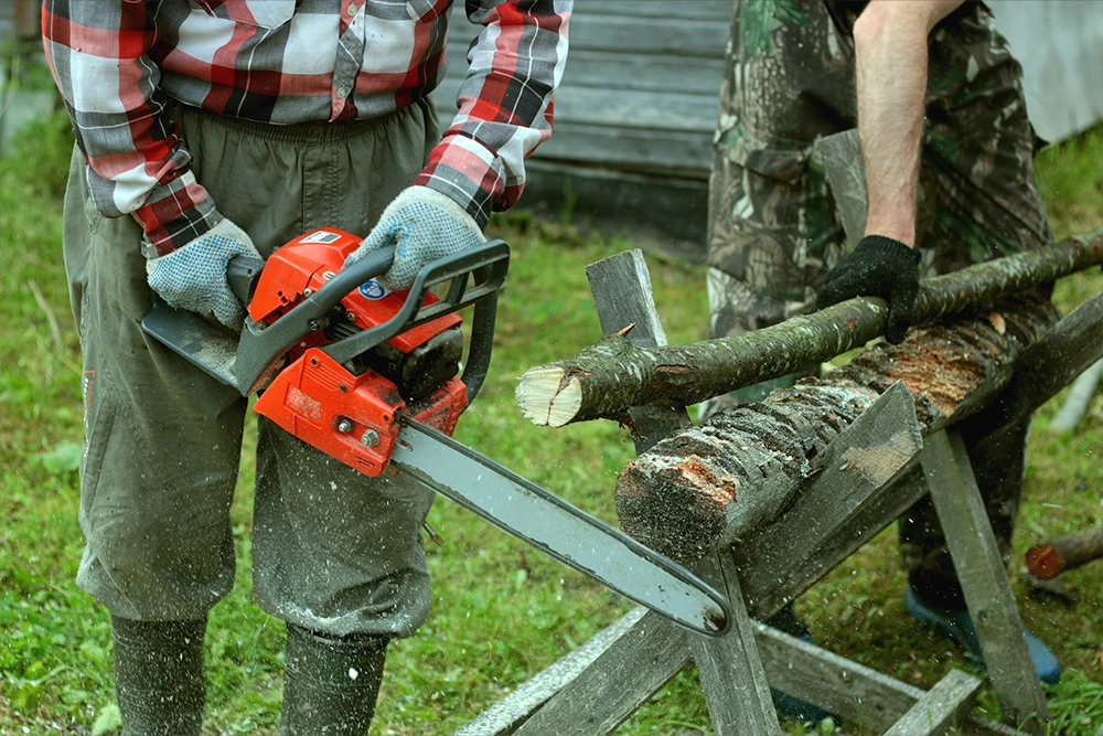 1the origin of the chainsaw