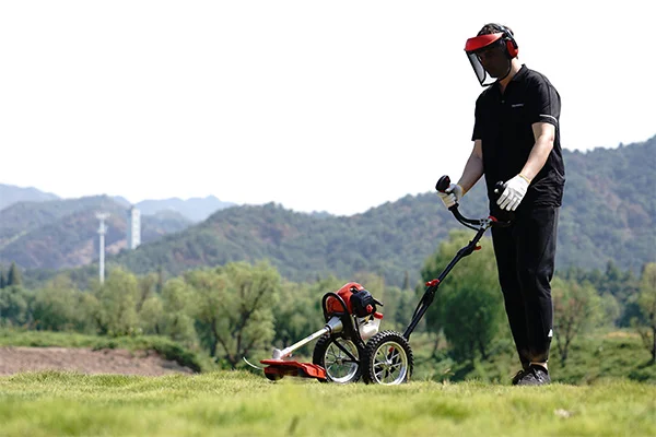 Efficient Lawn Mowing