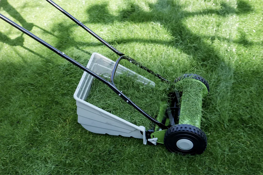 2.a classic push lawnmower