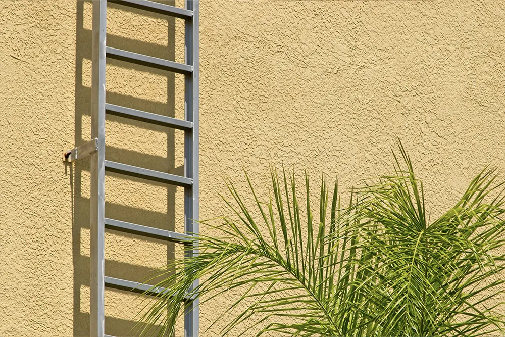 2.a sturdy aluminum ladder