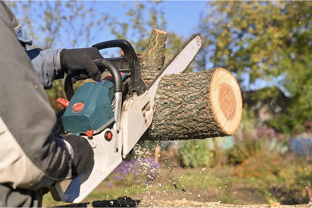 2.electric chainsaw