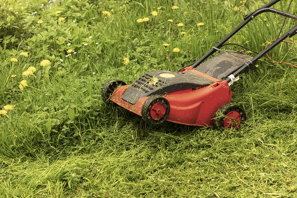 2.electric mower