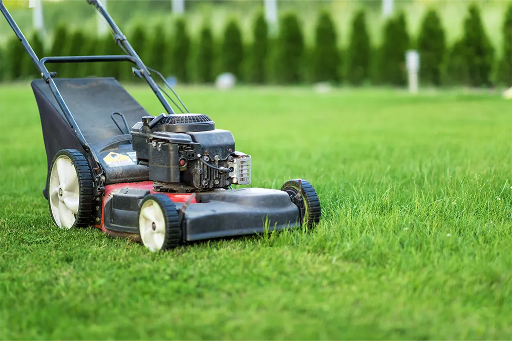2.lawn mower