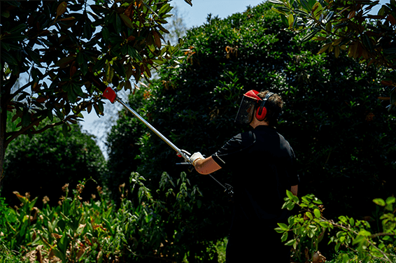 Serra de vara multifuncional Titantec para corte de galhos