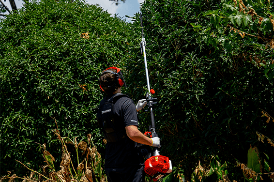 Serra de vara multifuncional Titantec para poda