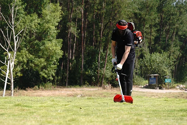 Efficient Lawn Mowing