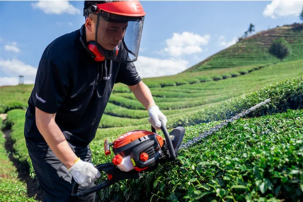 the-best-wholesale-garden-tool-suppliers