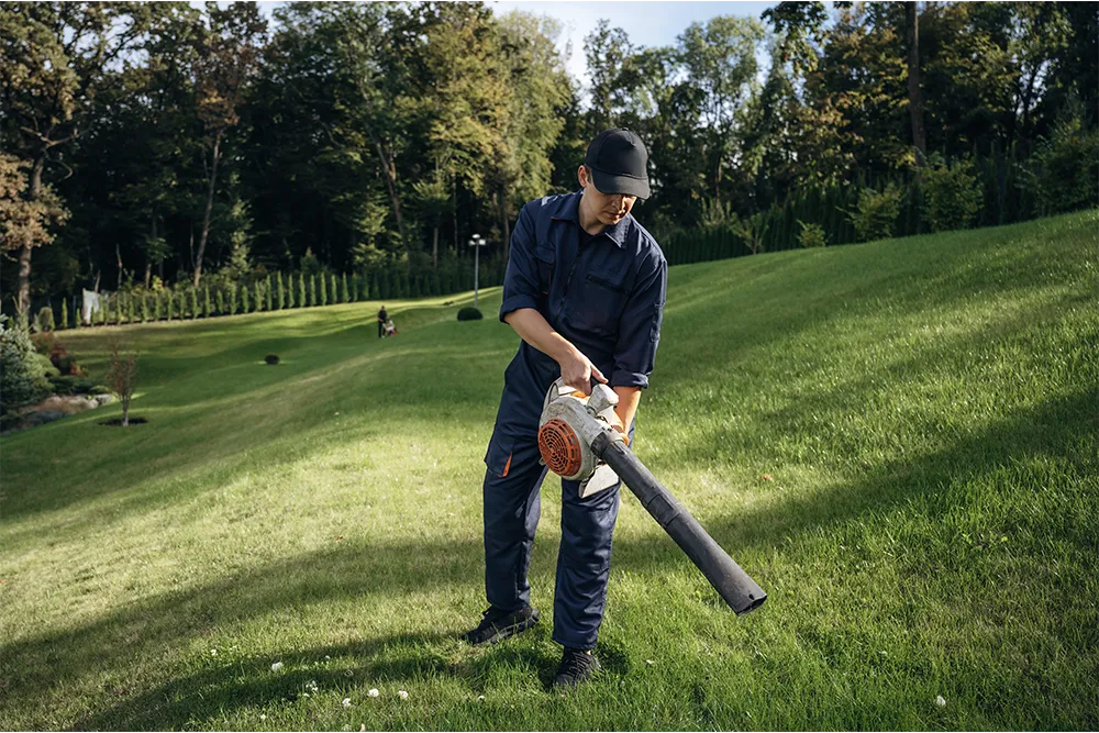 3.cordless electric chainsaw or leaf blower