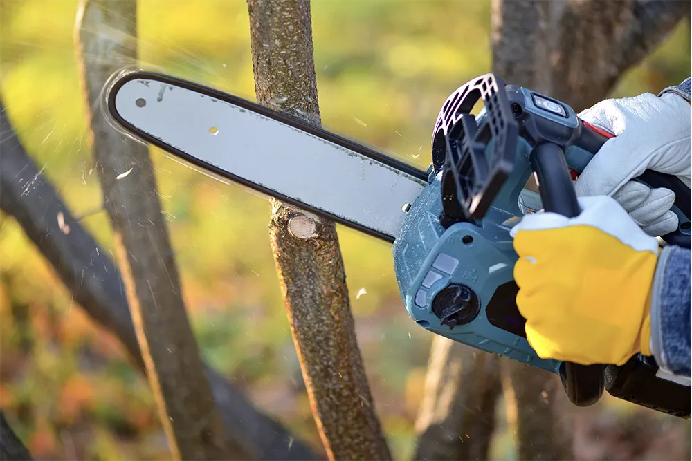 3.pole saw vs chainsaw