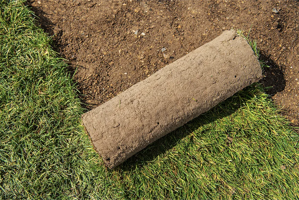 3.turf
