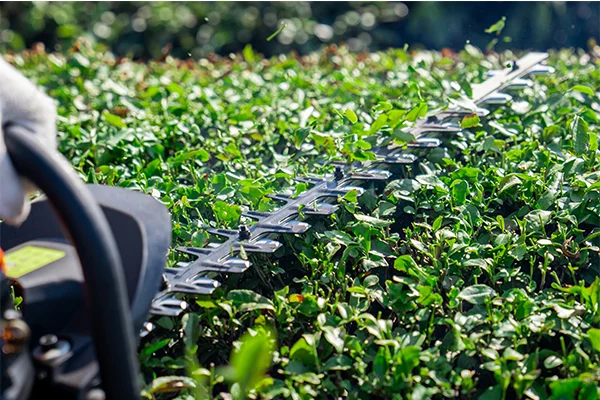 the-best-wholesale-garden-tool-suppliers