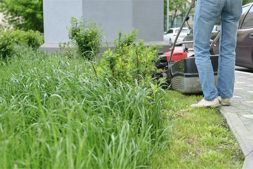 4.a person mows the lawn in their front yard.