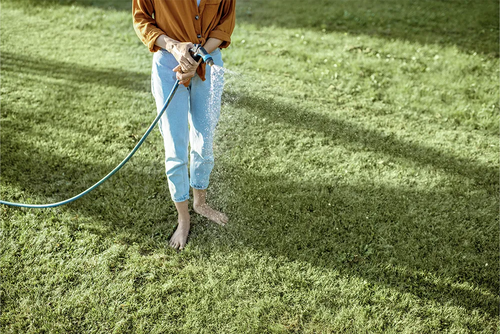 4.a person waters the newly laid turf