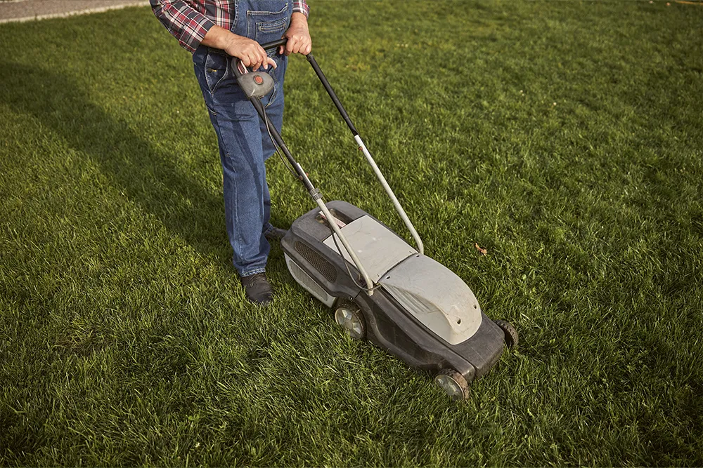 Practical Applications and Considerations