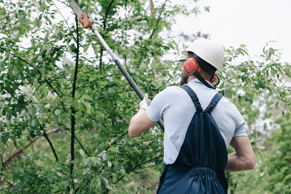 6.pole saw safety