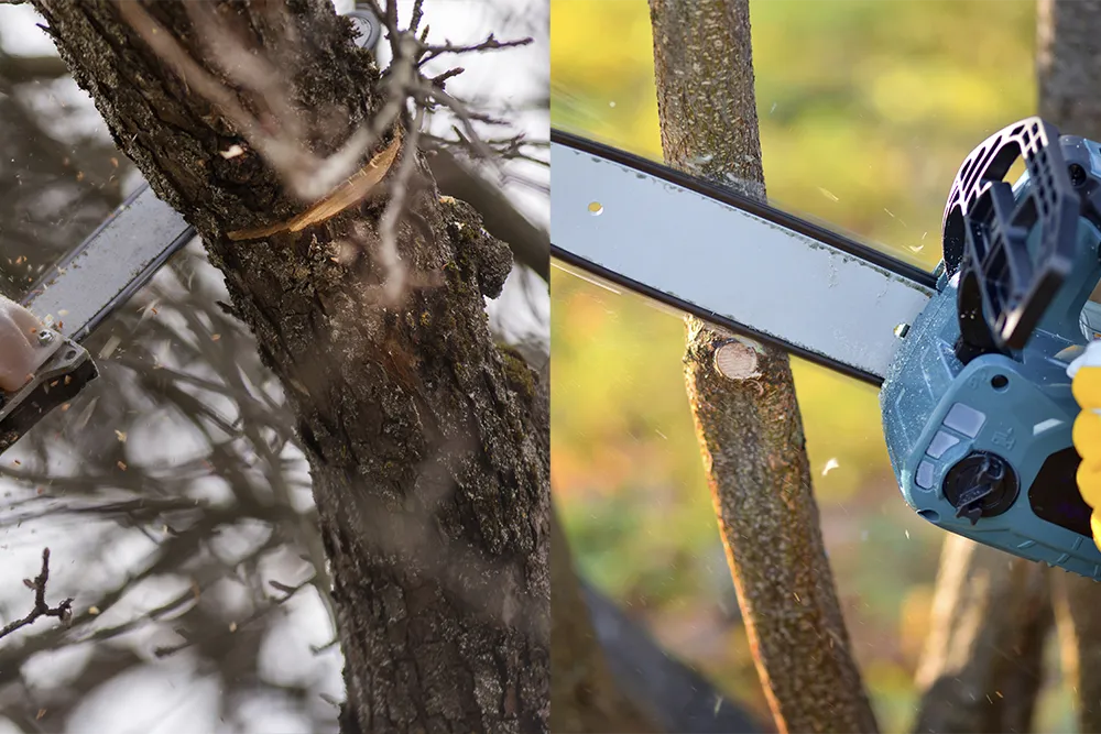 7.pole saw vs chainsaw