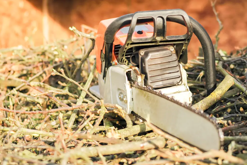 chainsaw12