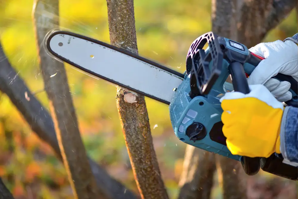 chainsaw13