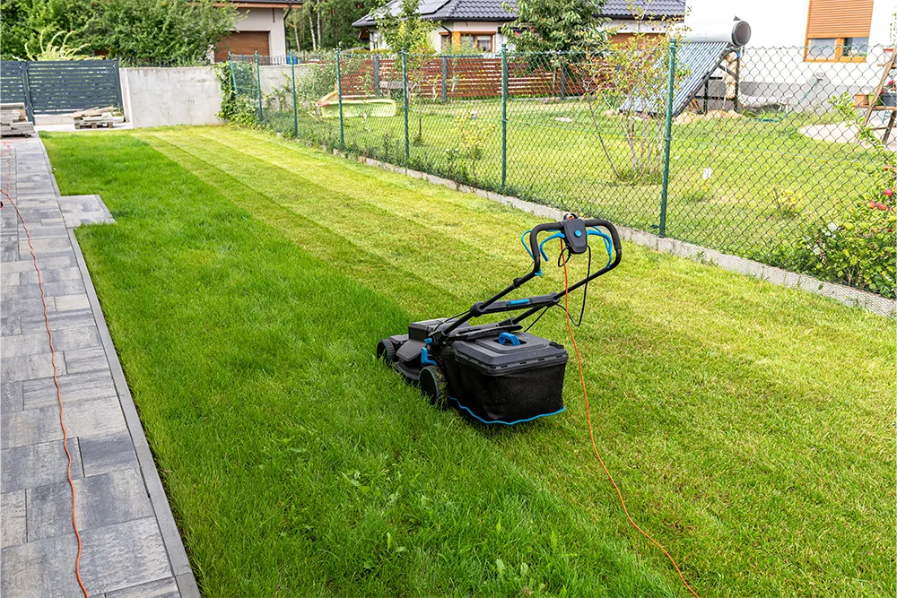electric lawn mower1
