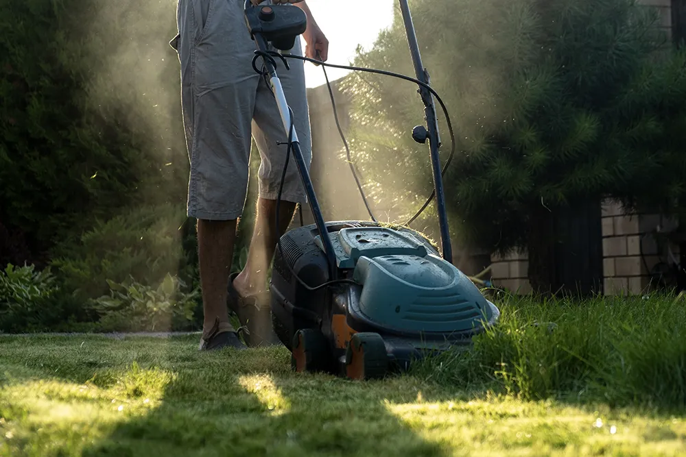 electric lawn mower2