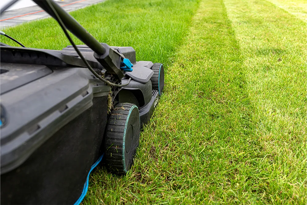 electric lawn mower3