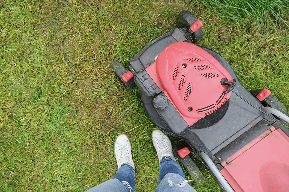 electric mower maintenance3