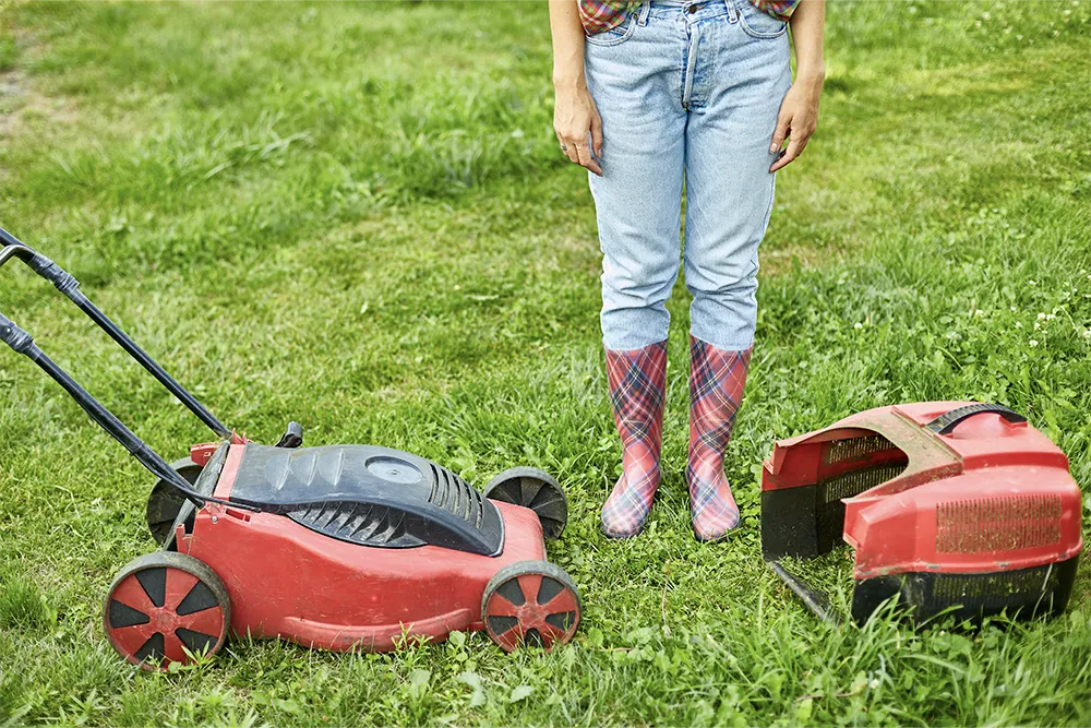 essential lawn care tools
