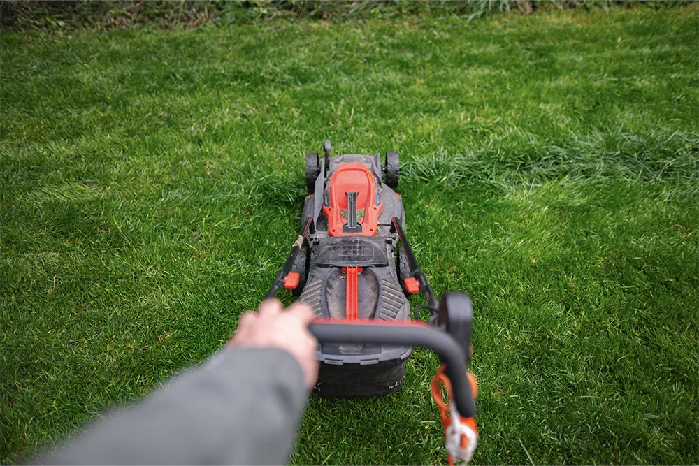 gas vs. electric lawn mower1