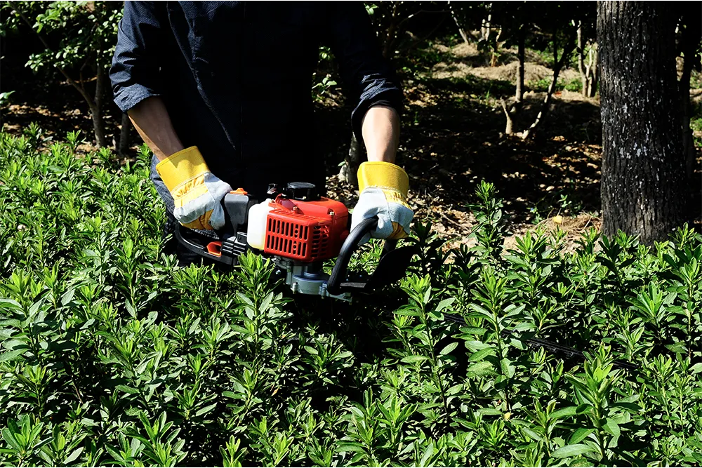 hedge trimmers3