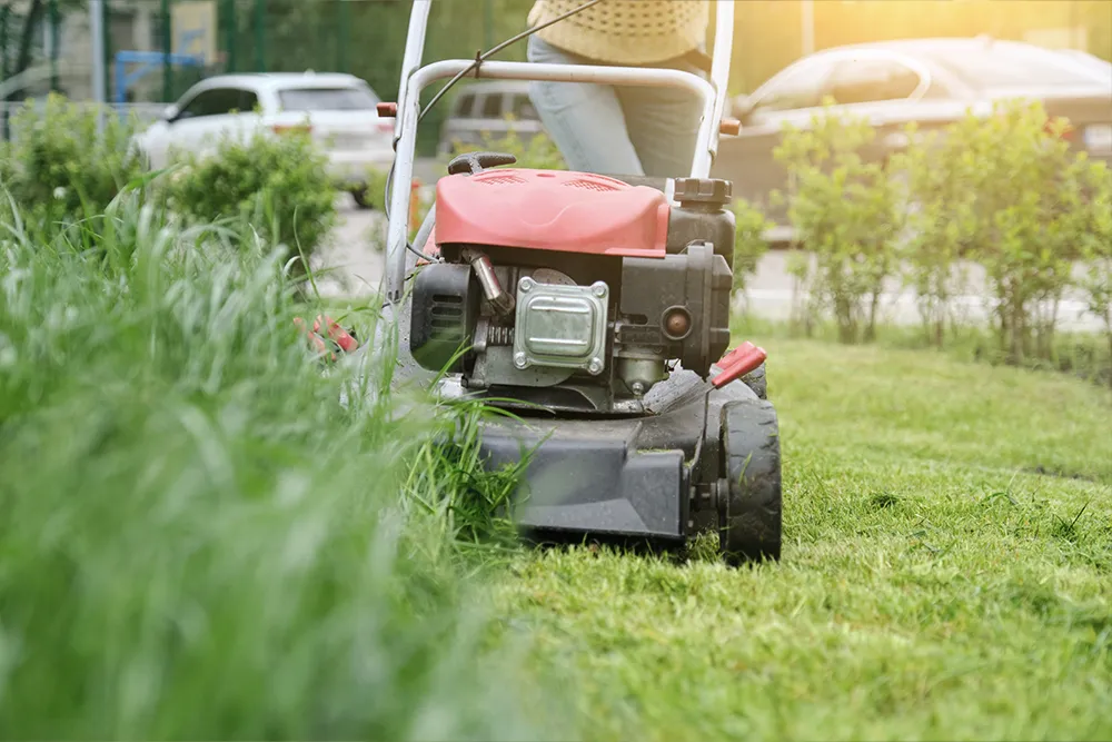 lawn mower types2