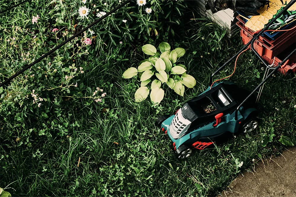 lawn mower types3