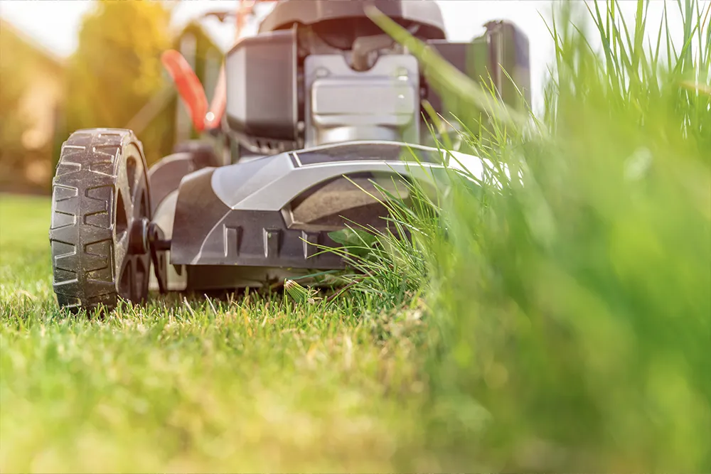 lawn mower types4
