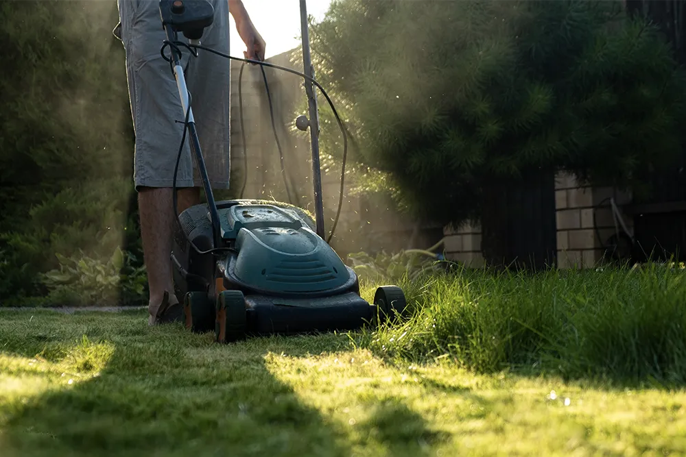 mow your lawn4