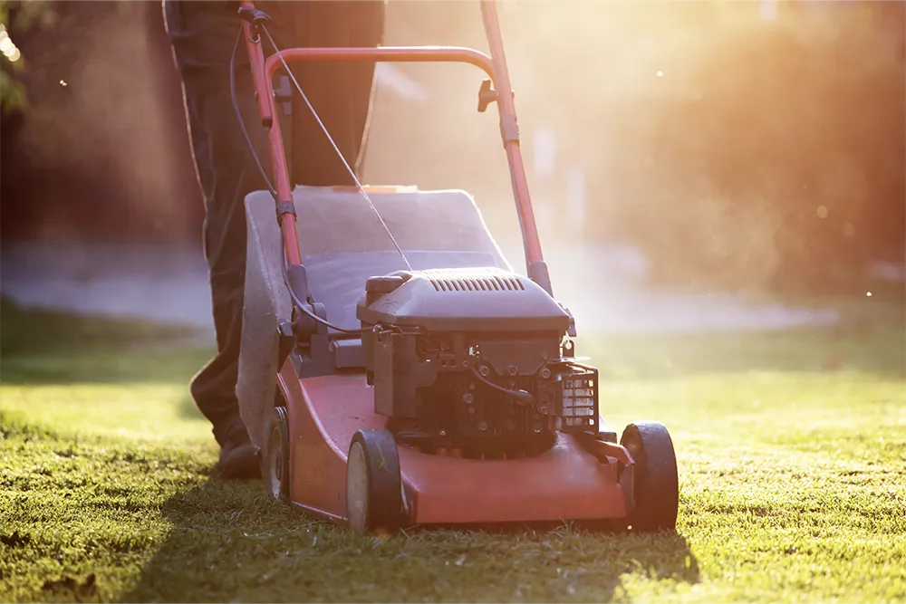 mow your lawn5
