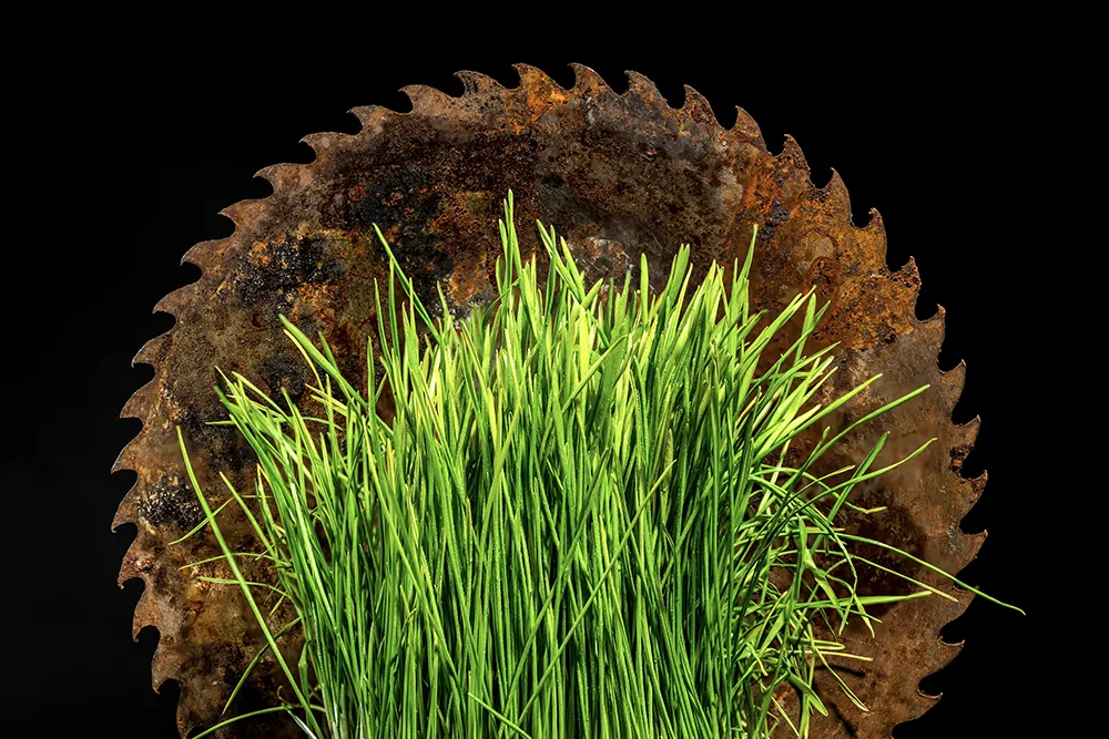 sharp lawn mower blades matter2